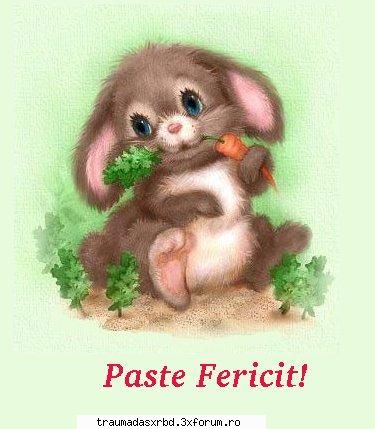 bun!asta a fost ep!sper k va plaqt!yo diseara am sa plek asa k nu asteptati next in acest timp mai