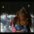 Gifs - killy - RBD